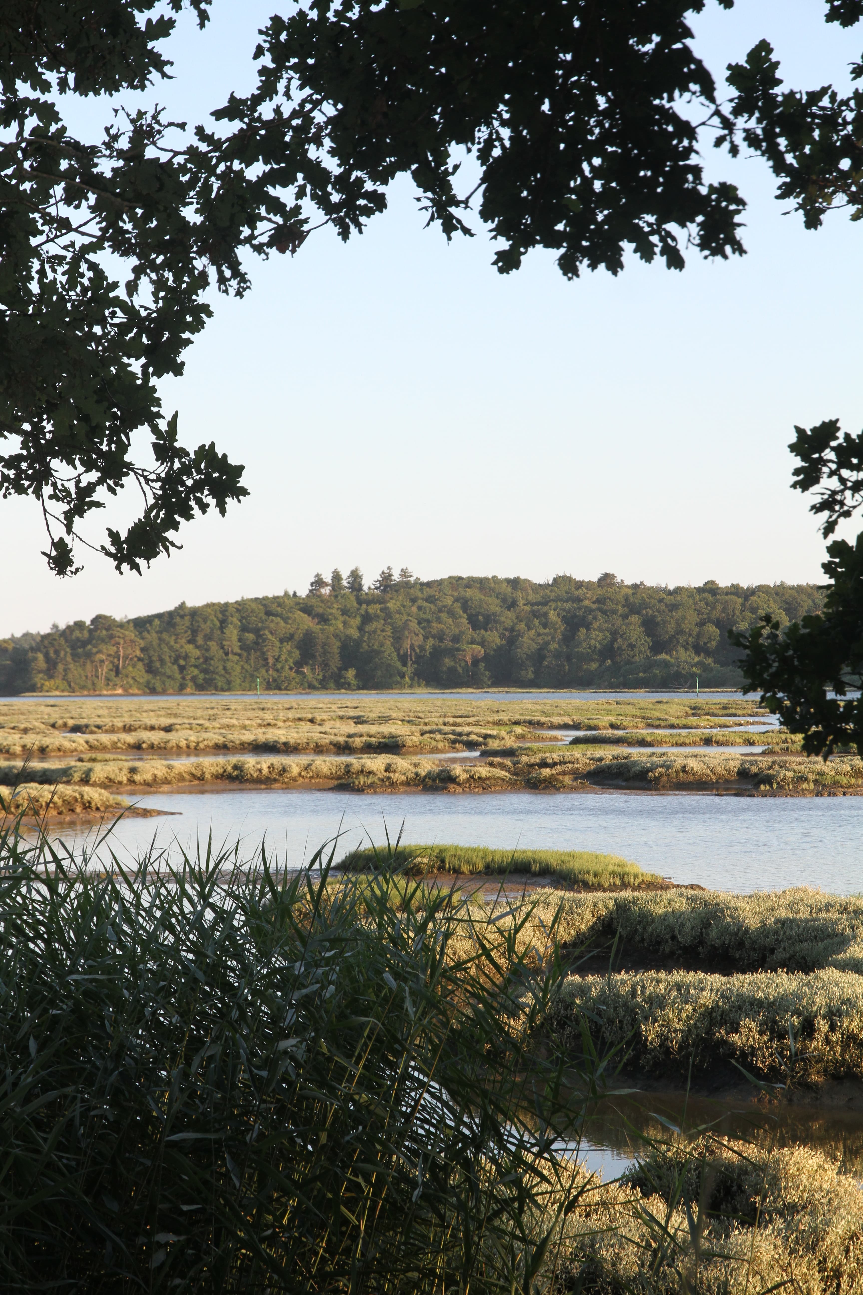 Quelque part entre Auray et Le Bono
