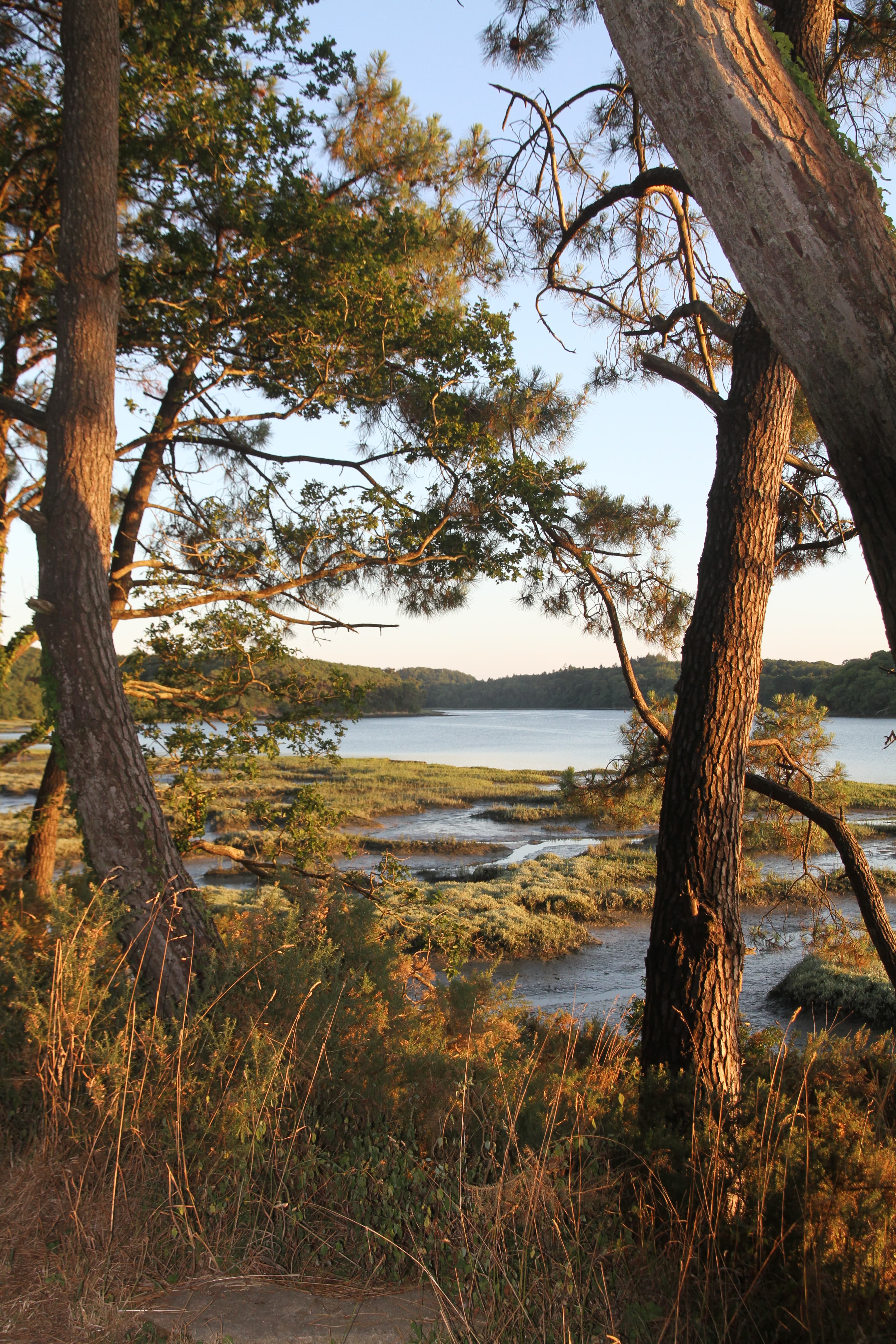Quelque part entre Auray et Le Bono